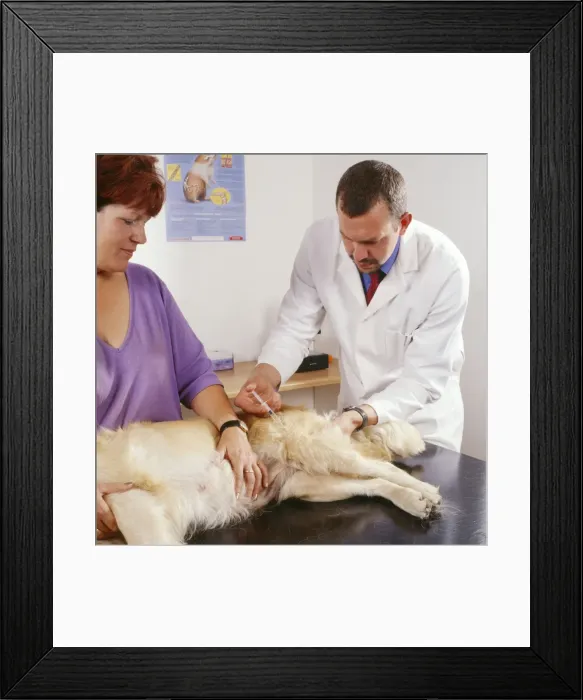 Framed Print : Picture No. 10743477 Framed Print : Picture No. 10743477