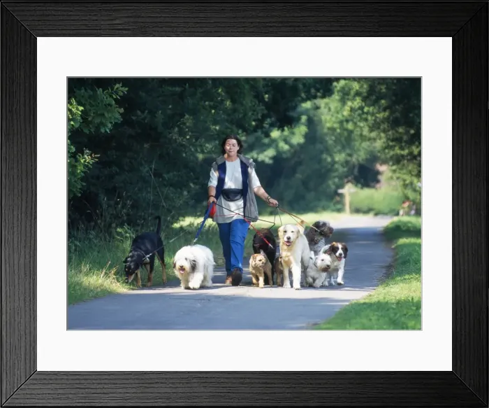 Framed Print : Picture No. 10743485