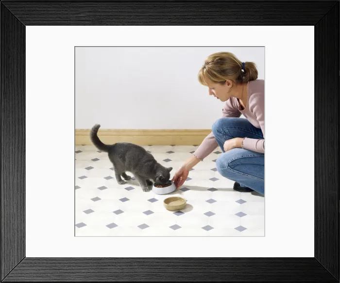 Framed Print : Picture No. 10743466 Framed Print : Picture No. 10743466