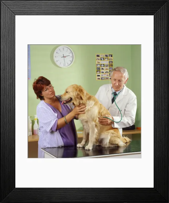Framed Print : Picture No. 10743450 Framed Print : Picture No. 10743450