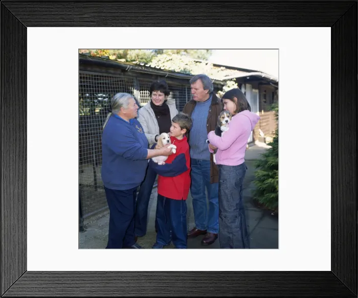Framed Print : Picture No. 10743806 Framed Print : Picture No. 10743806