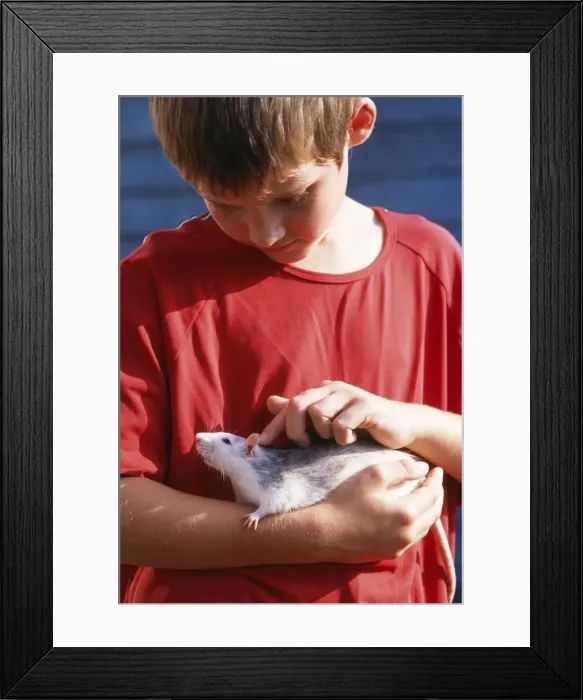 Framed Print : Picture No. 10743965 Framed Print : Picture No. 10743965