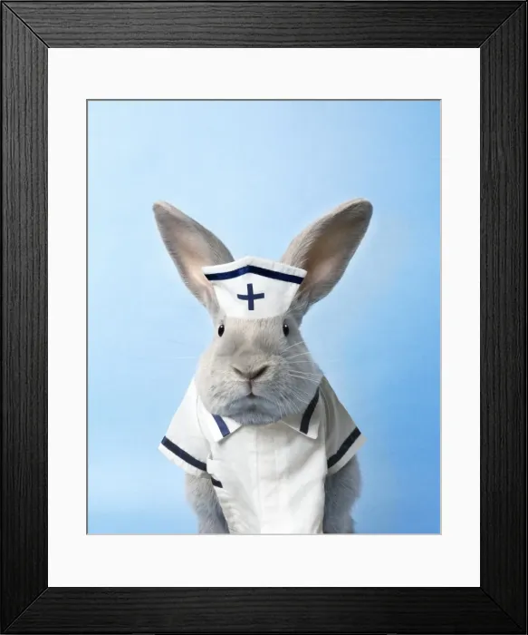 Framed Print : Picture No. 10743862 Framed Print : Picture No. 10743862