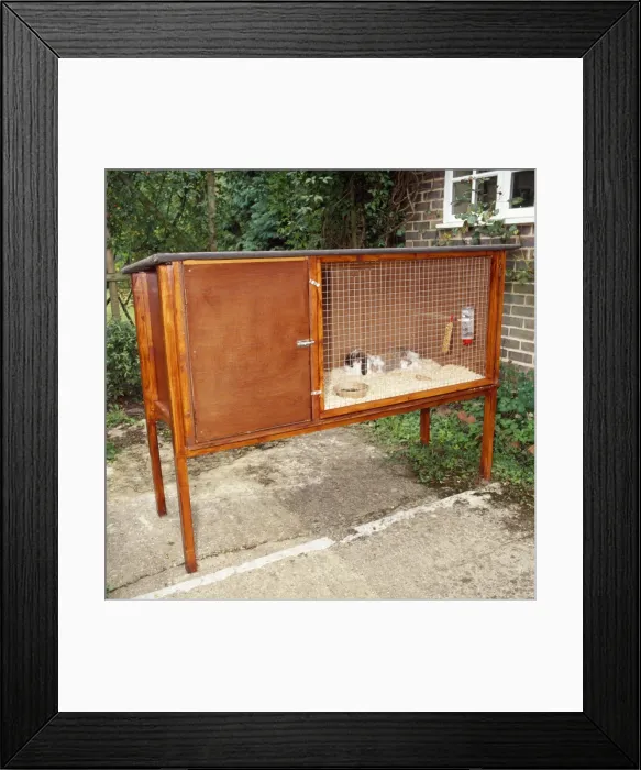 Framed Print : Picture No. 10743897 Framed Print : Picture No. 10743897