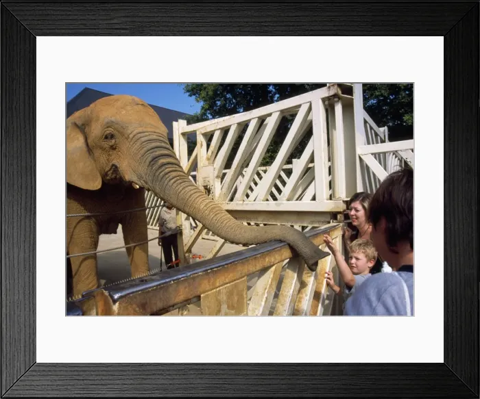 Framed Print : Picture No. 10744091 Framed Print : Picture No. 10744091