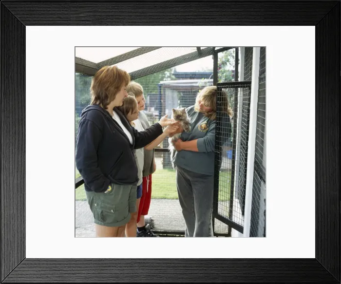 Framed Print : Picture No. 10744140 Framed Print : Picture No. 10744140