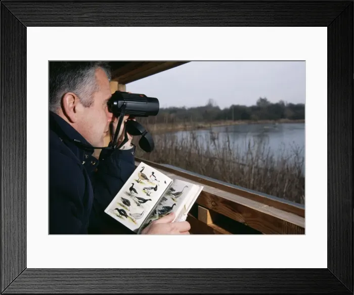 Framed Print : Picture No. 10743986