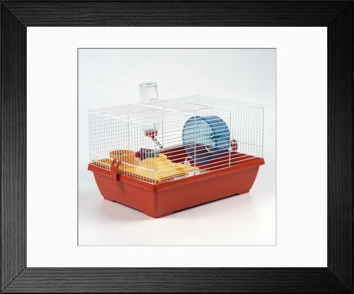 Framed Print : Picture No. 10743970 Framed Print : Picture No. 10743970