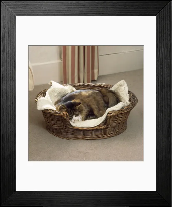 Framed Print : Picture No. 10744303 Framed Print : Picture No. 10744303