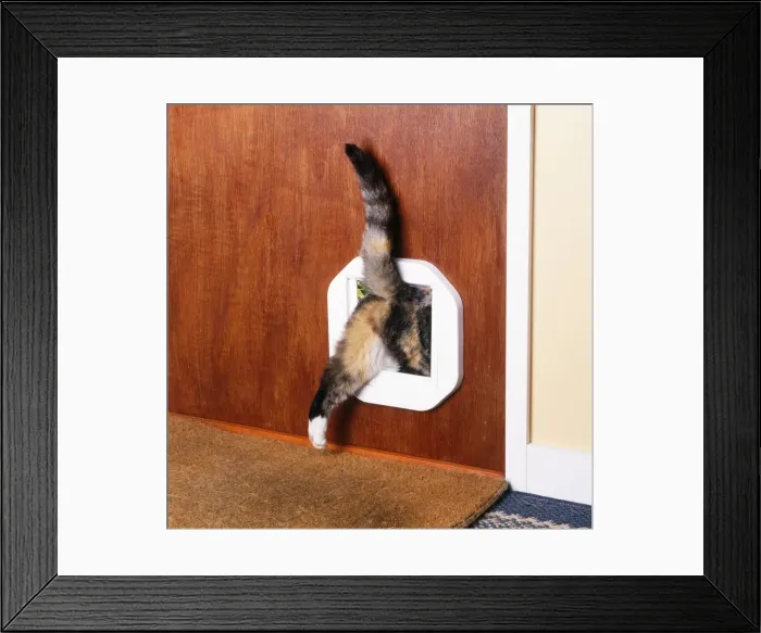 Framed Print : Picture No. 10744302 Framed Print : Picture No. 10744302
