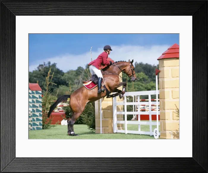 Framed Print : Picture No. 10744342 Framed Print : Picture No. 10744342