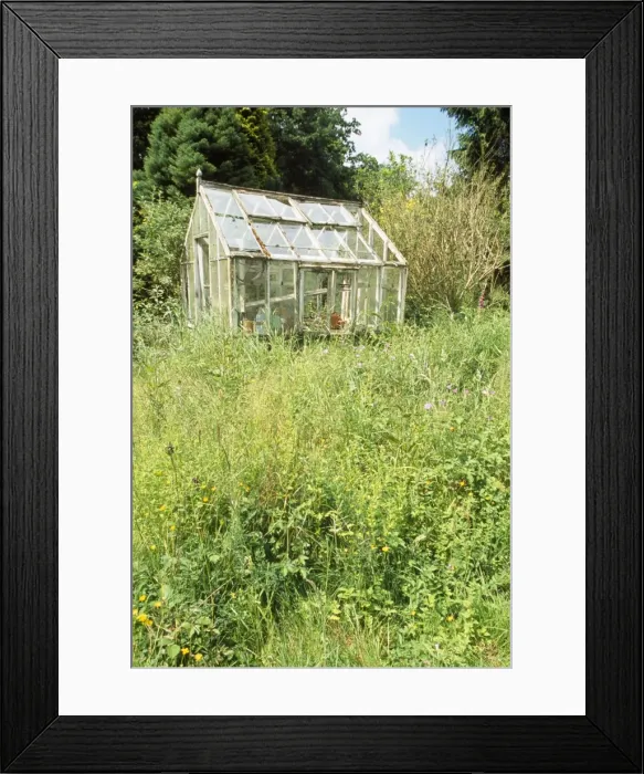 Framed Print : Picture No. 10744388 Framed Print : Picture No. 10744388