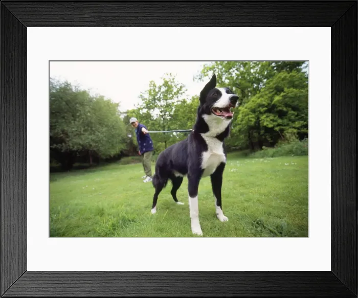 Framed Print : Picture No. 10744361