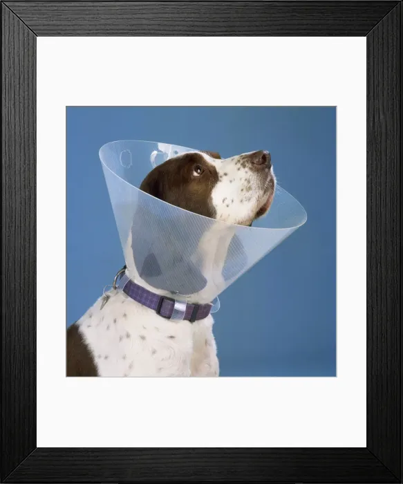 Framed Print : Picture No. 10744391 Framed Print : Picture No. 10744391