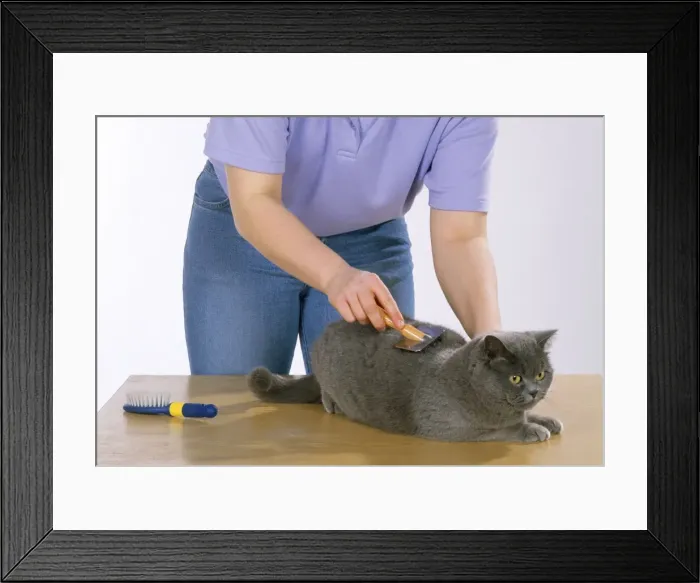 Framed Print : Picture No. 10744414 Framed Print : Picture No. 10744414
