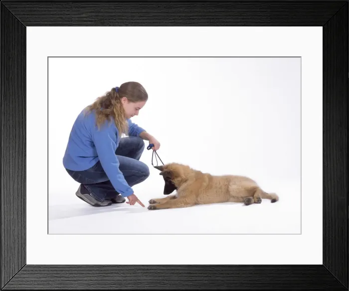 Framed Print : Picture No. 10744420 Framed Print : Picture No. 10744420