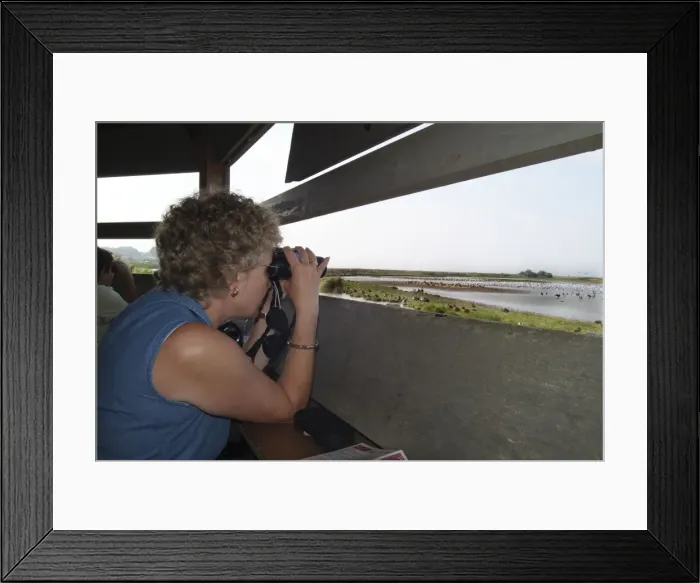 Framed Print : Picture No. 10744456 Framed Print : Picture No. 10744456