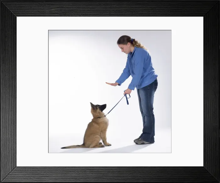 Framed Print : Picture No. 10744417 Framed Print : Picture No. 10744417