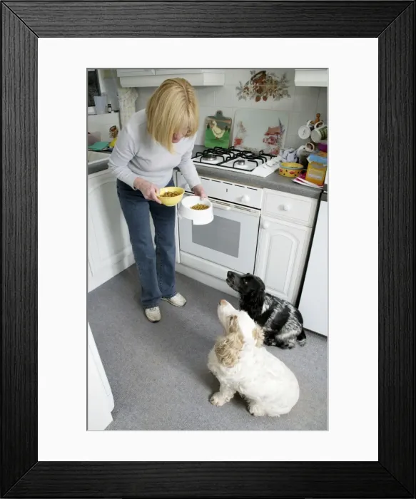 Framed Print : Picture No. 10744470 Framed Print : Picture No. 10744470