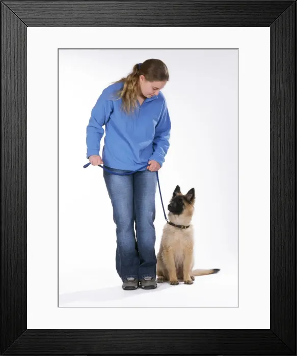 Framed Print : Picture No. 10744416 Framed Print : Picture No. 10744416