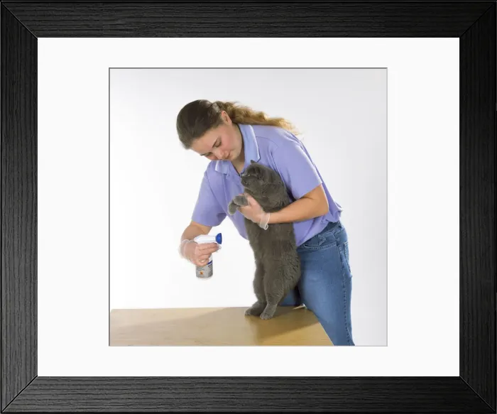 Framed Print : Picture No. 10744418 Framed Print : Picture No. 10744418