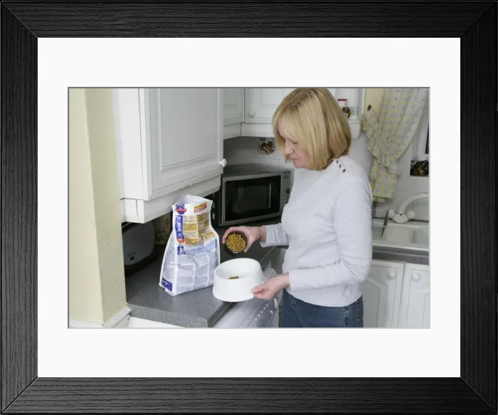 Framed Print : Picture No. 10744472 Framed Print : Picture No. 10744472