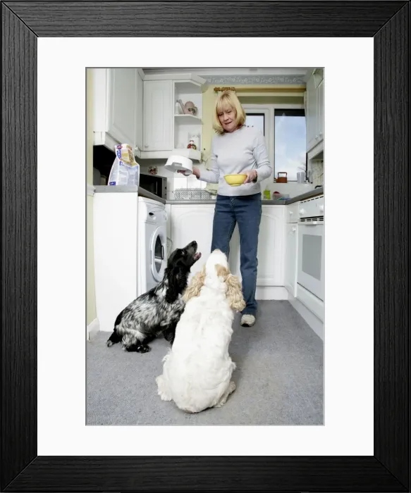 Framed Print : Picture No. 10744469