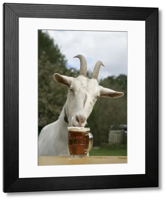 Framed Print : Picture No. 10744568 Framed Print : Picture No. 10744568