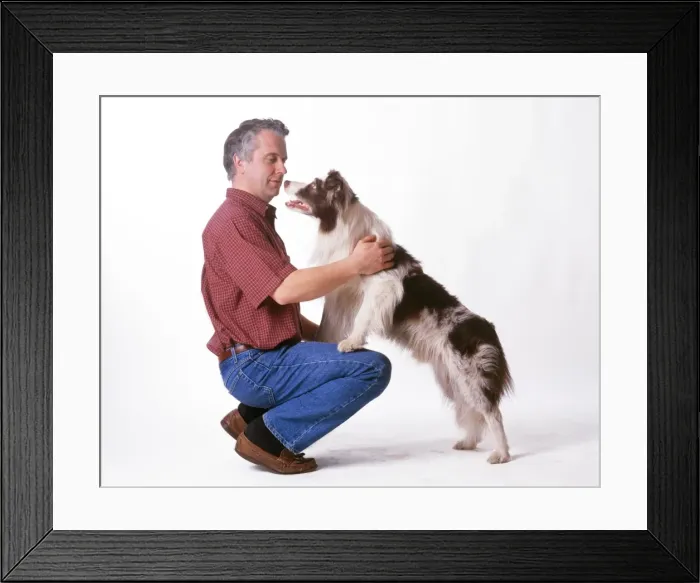 Framed Print : Picture No. 10744473 Framed Print : Picture No. 10744473