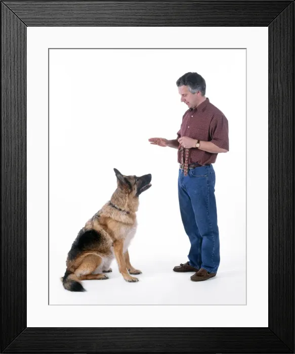 Framed Print : Picture No. 10744526 Framed Print : Picture No. 10744526