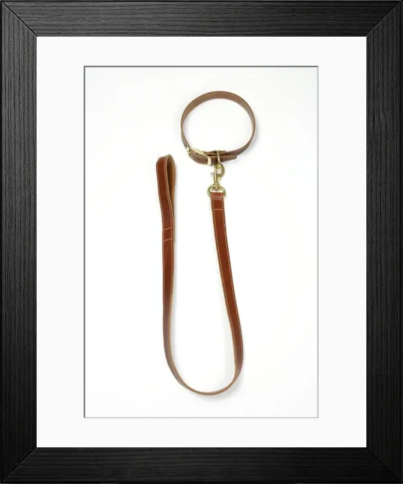 Framed Print : Picture No. 10744590 Framed Print : Picture No. 10744590