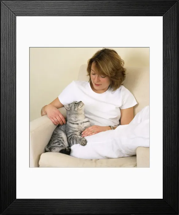 Framed Print : Picture No. 10744564 Framed Print : Picture No. 10744564
