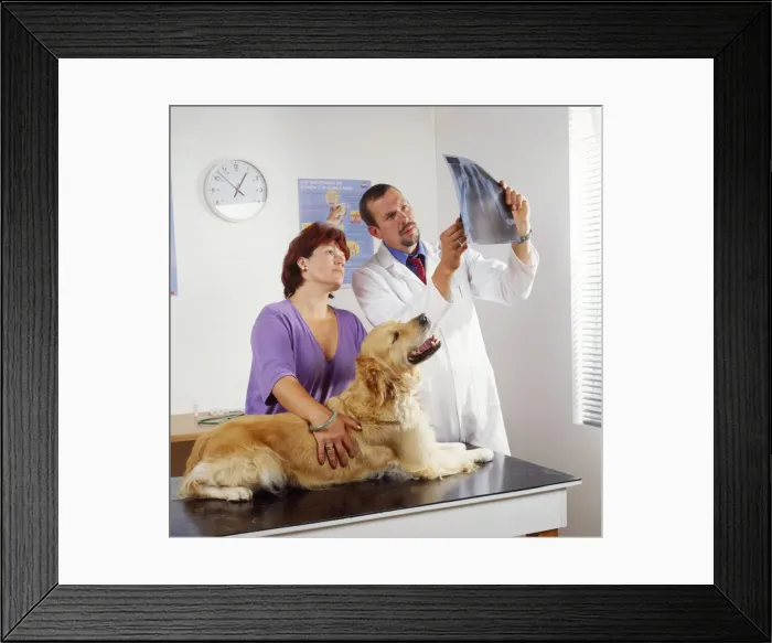 Framed Print : Picture No. 10744645