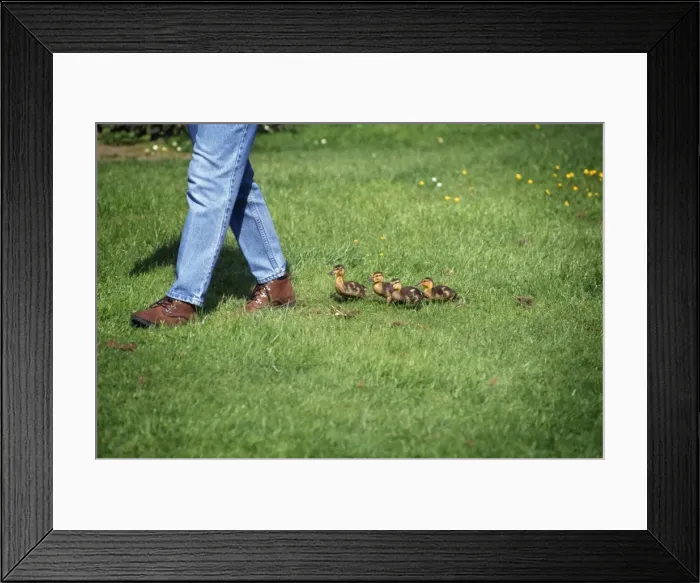 Framed Print : Picture No. 10744691 Framed Print : Picture No. 10744691