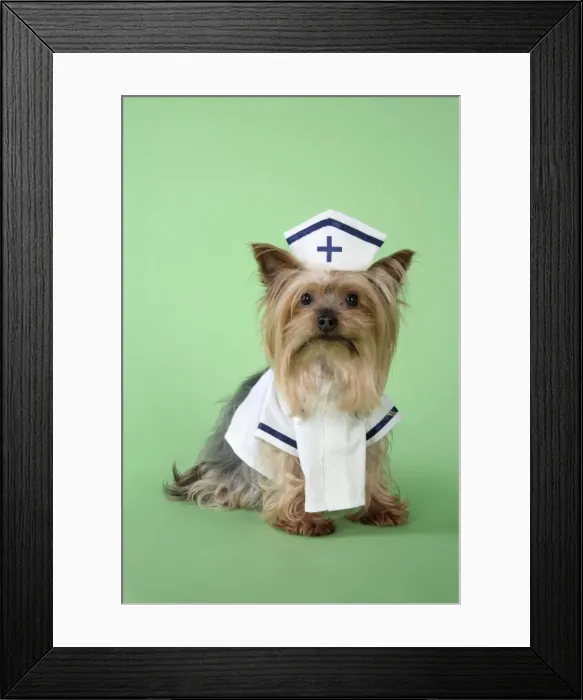 Framed Print : Picture No. 10746408 Framed Print : Picture No. 10746408