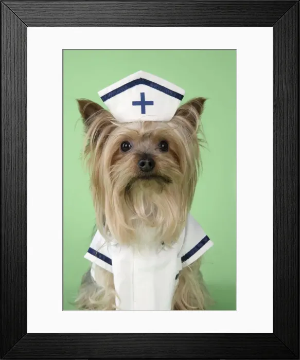 Framed Print : Picture No. 10746409 Framed Print : Picture No. 10746409