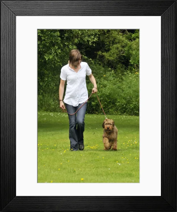 Framed Print : Picture No. 10746611 Framed Print : Picture No. 10746611