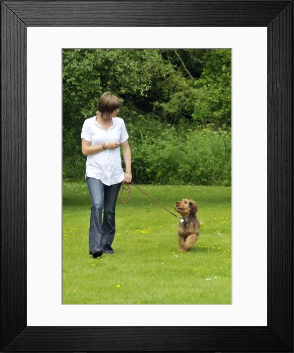 Framed Print : Picture No. 10746612 Framed Print : Picture No. 10746612