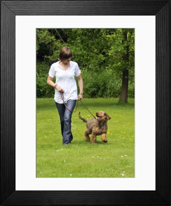 Framed Print : Picture No. 10746613 Framed Print : Picture No. 10746613