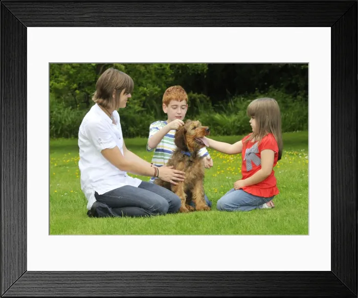 Framed Print : Picture No. 10746616 Framed Print : Picture No. 10746616