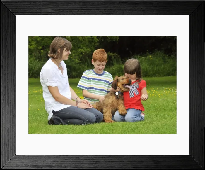 Framed Print : Picture No. 10746617 Framed Print : Picture No. 10746617