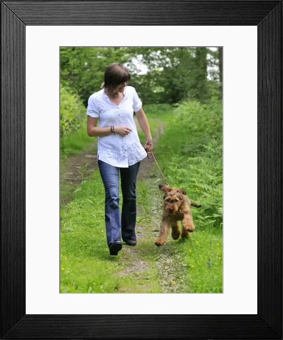 Framed Print : Picture No. 10746614 Framed Print : Picture No. 10746614