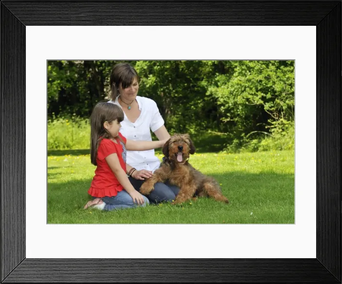 Framed Print : Picture No. 10746620 Framed Print : Picture No. 10746620