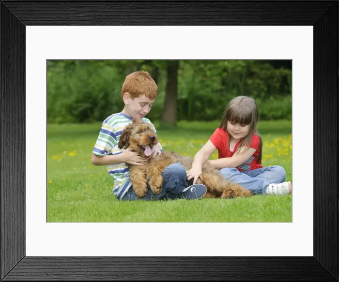Framed Print : Picture No. 10746619 Framed Print : Picture No. 10746619