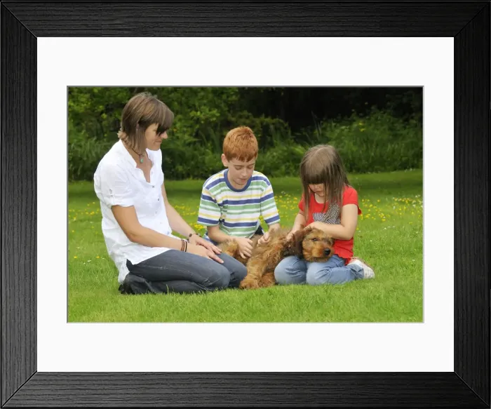 Framed Print : Picture No. 10746615 Framed Print : Picture No. 10746615
