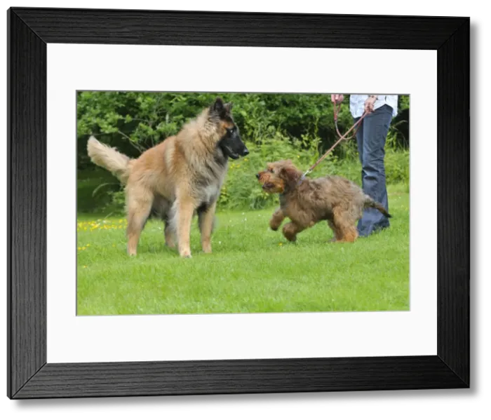 Framed Print : Picture No. 10746627