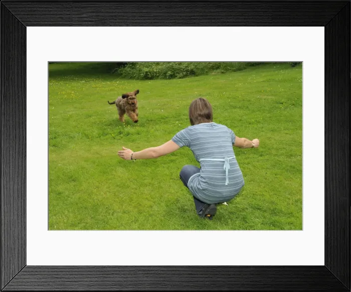 Framed Print : Picture No. 10746628