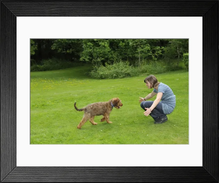 Framed Print : Picture No. 10746630