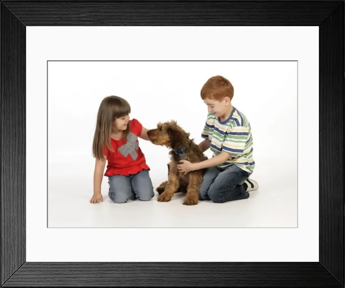 Framed Print : Picture No. 10746633