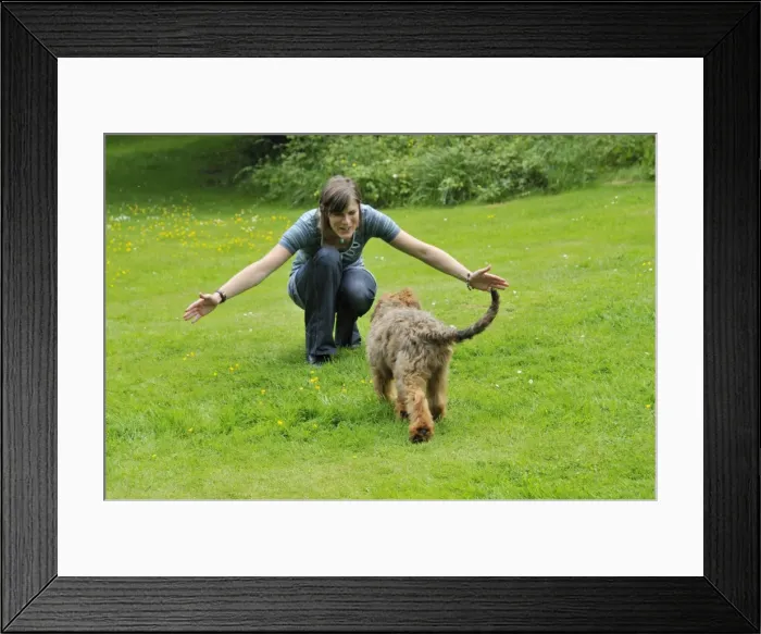 Framed Print : Picture No. 10746629
